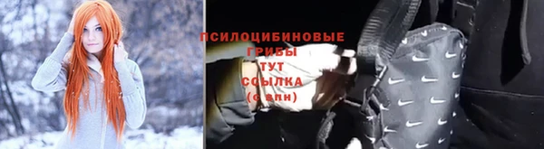 МДПВ Краснослободск