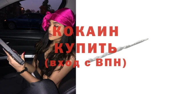 МДПВ Краснослободск